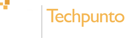 techpunto it solution companies lebanon