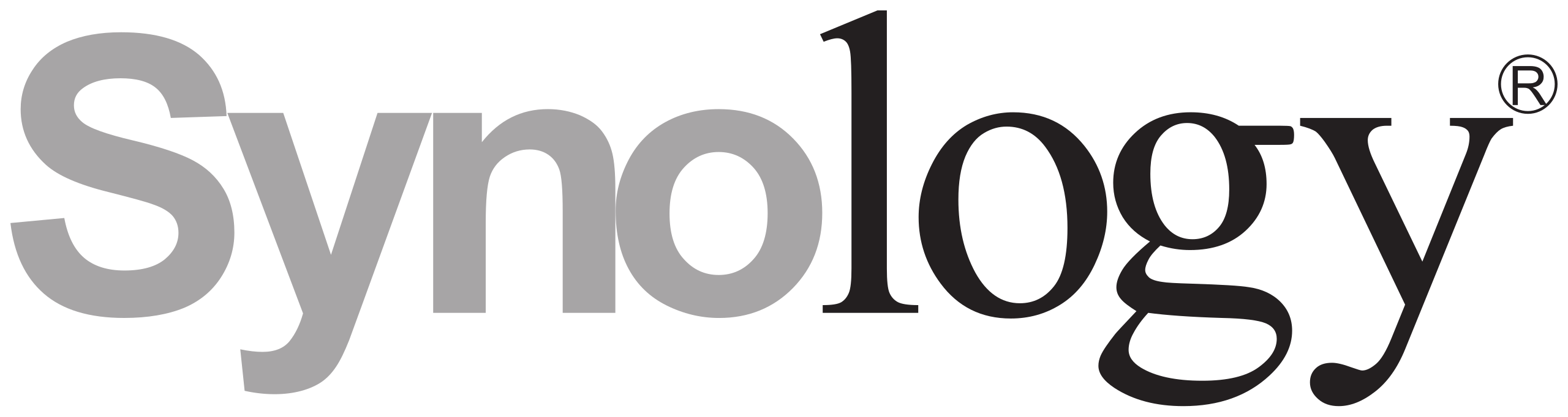 Synology logo – NAS solutions in Lebanon
