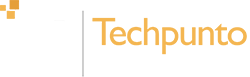 Techpunto IT Solutions
